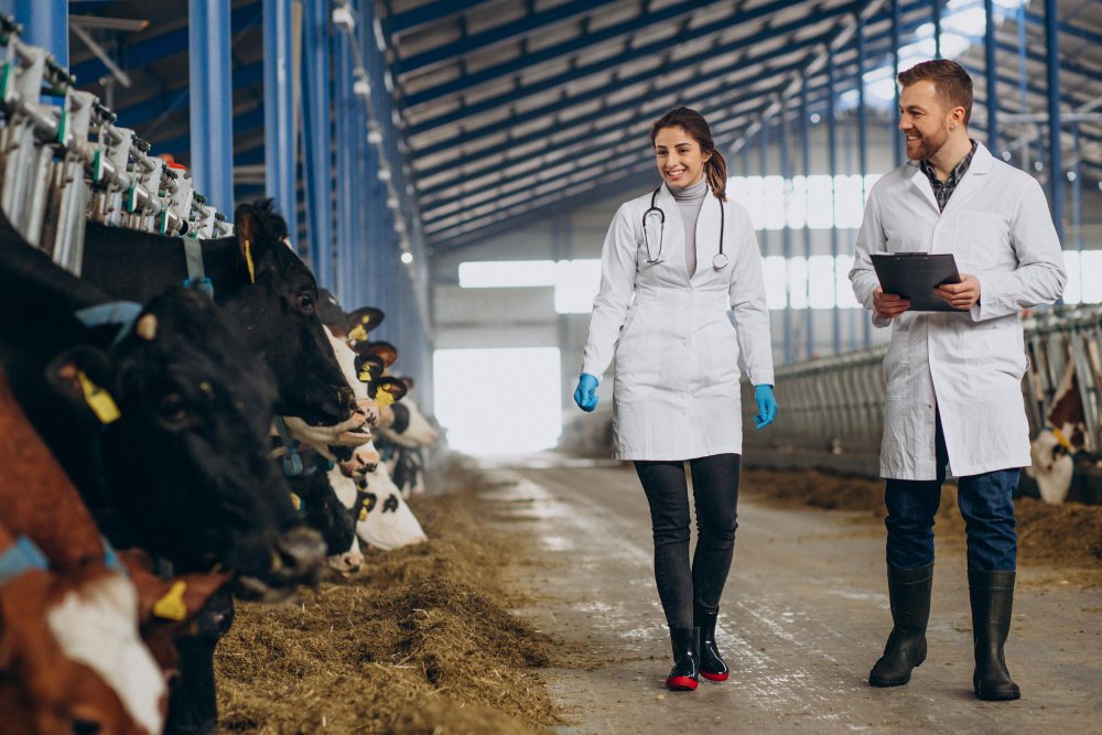 Optimizing Livestock Operations with Advanced Technology