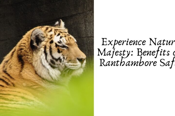 Experience Nature’s Majesty: Benefits of a Ranthambore Safari