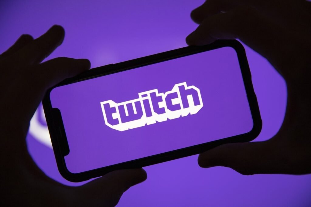 Exploring the Significance of Twitch Followers