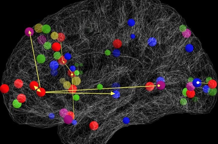 neuromatch