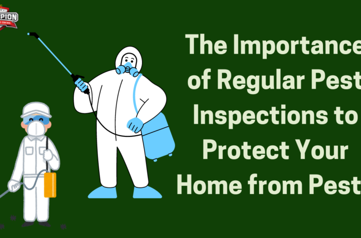 The Importance of Regular Pest Inspections to Protect Your Home from Pests