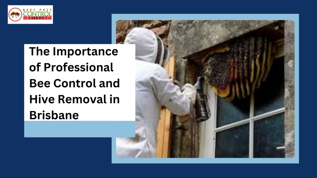 The Importance of Professional Bee Control and Hive Removal in Brisbane