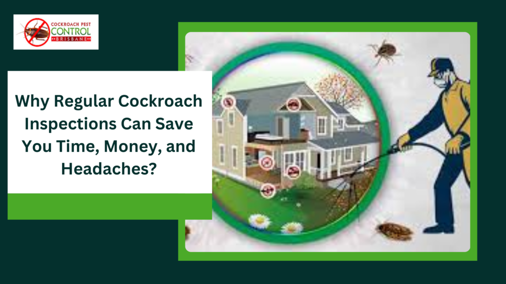 Why Regular Cockroach Inspections Can Save You Time, Money, and Headaches?