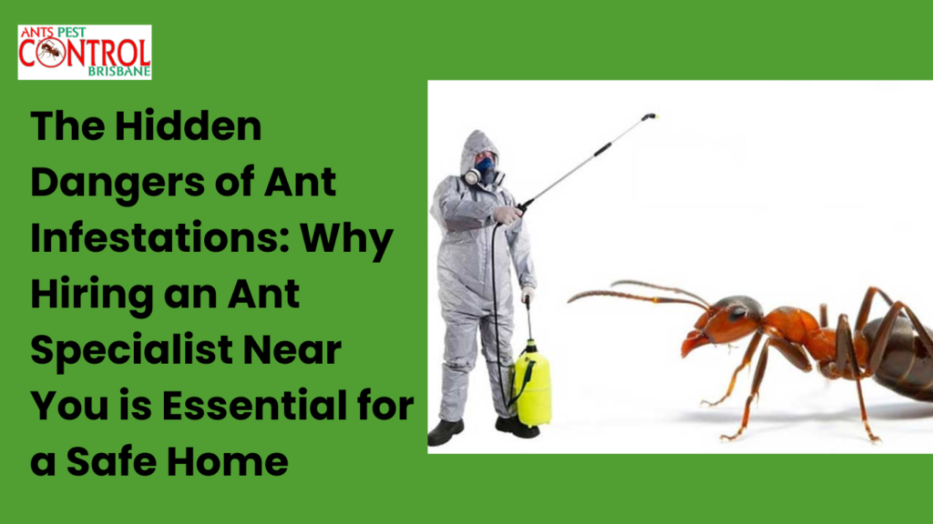 The Hidden Dangers of Ant Infestations: Why Hiring an Ant Specialist Near You is Essential for a Safe Home