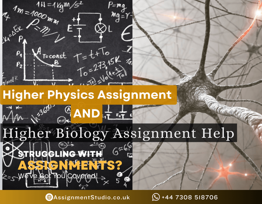 higher physics assignment