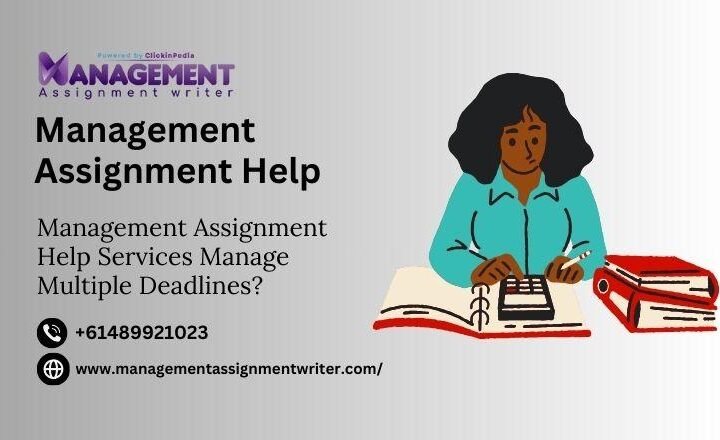 management assignment help