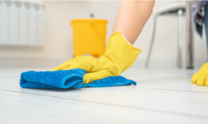 cleaning services maastricht