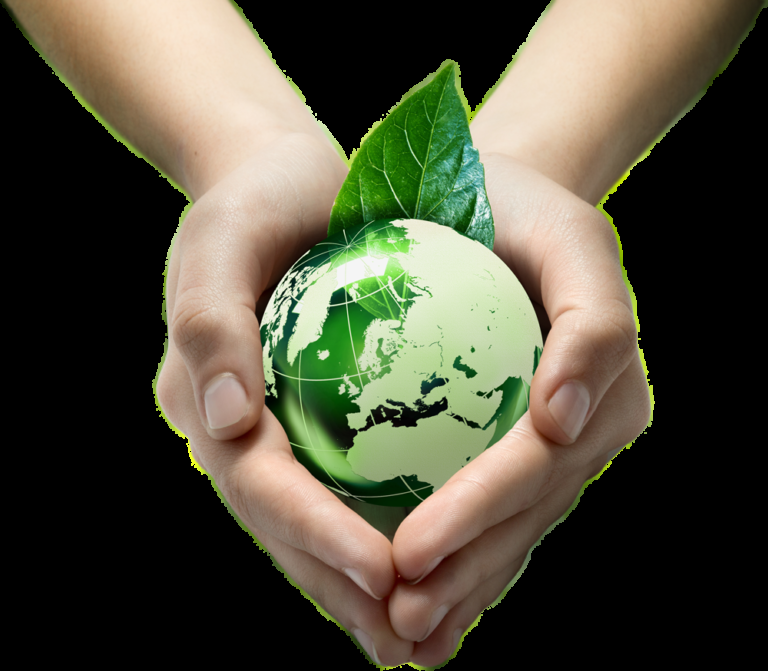 World Sustainability Organization