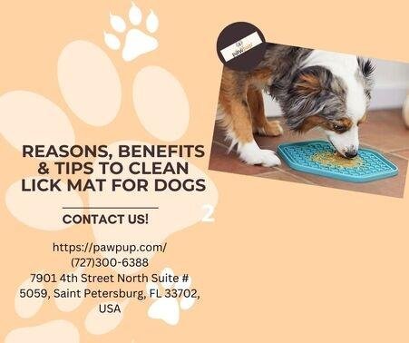 Benefits & Tips: Clean Lick Mat for Dogs