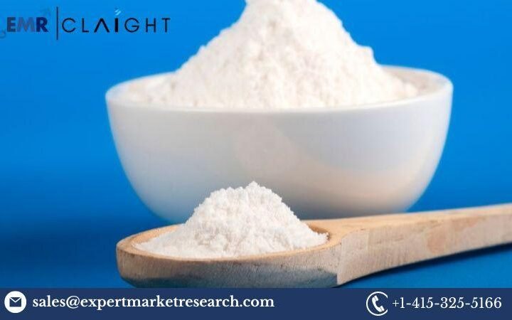 sodium acid pyrophosphate market