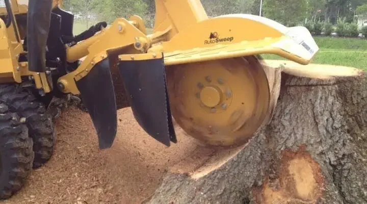 stump-grinding