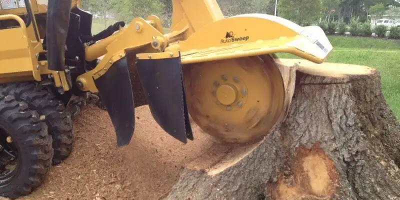 stump-grinding